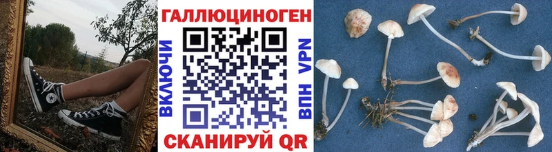 Купить где  Челябинск  Галлюциногенные грибы Magic Shrooms 