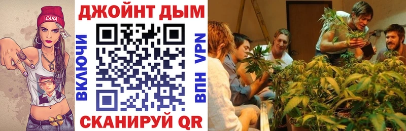 Купить  Челябинск  Конопля индика 